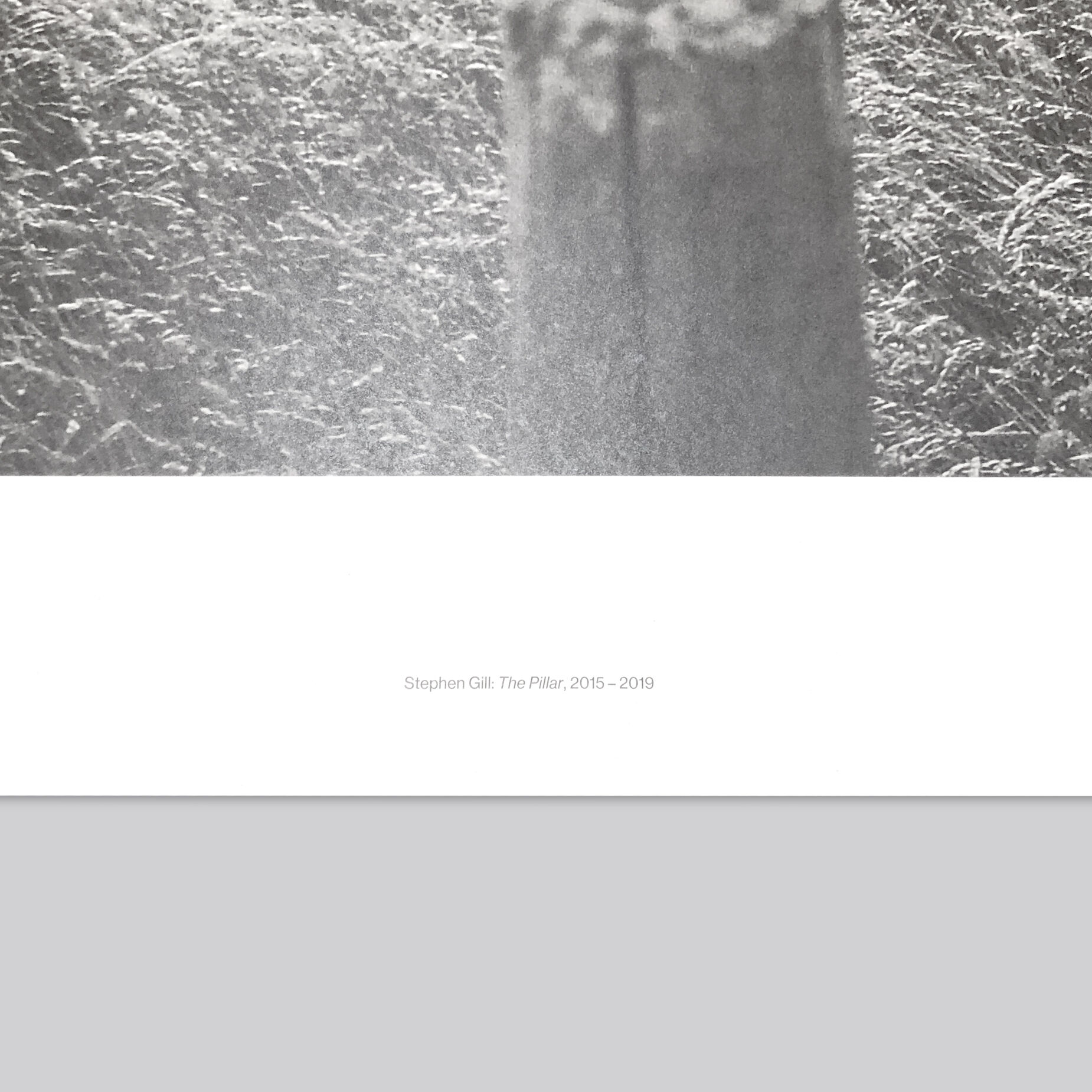 Stephen Gill / The Pillar - Large Poster | POST
