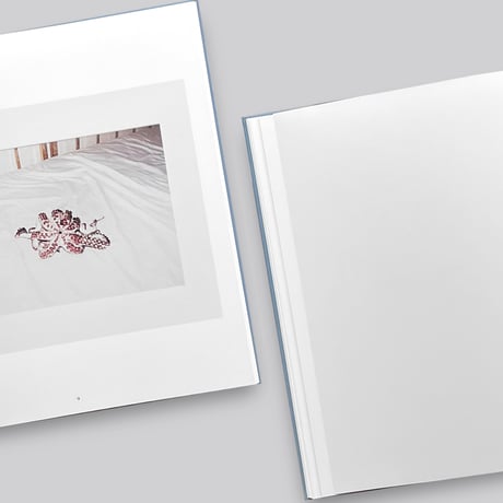 Roni Horn / the selected gifts 1974-2005