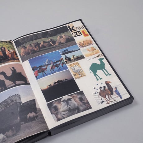 Lous Martens / Animal Books For