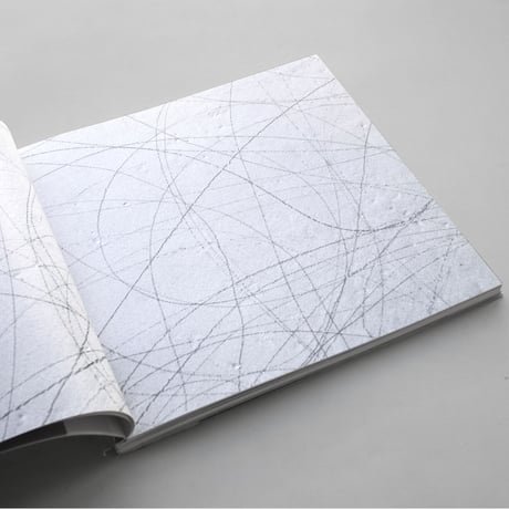 Sol LeWitt / Wall Drawings Allo Studio G7