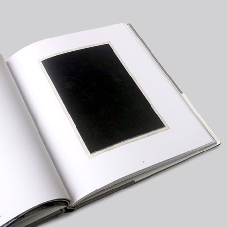 Brice Marden