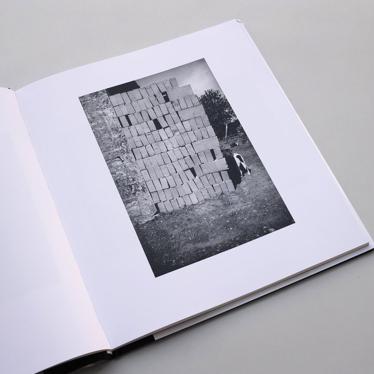 Ellsworth Kelly / Photographs | POST Ellsworth Kelly / Photographs | POST