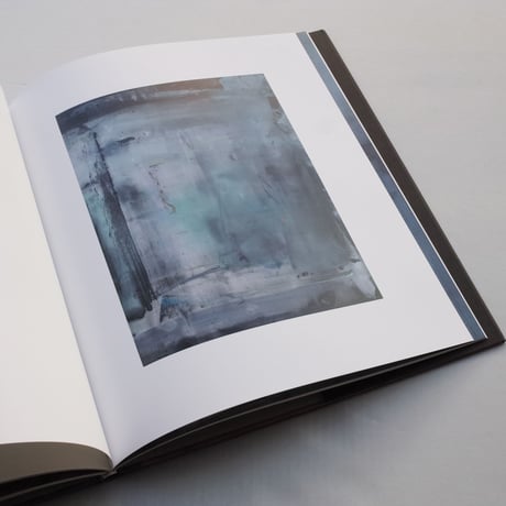 Helen Frankenthaler / Sea Change: A Decade of Paintings, 1974–1983 Catalogue