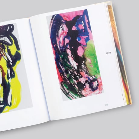 Katharina Grosse / Studio Paintings 1988-2022