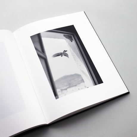 Bernard Plossu / Des Oiseaux