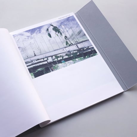 Philippe Braquenier / Palimpsest