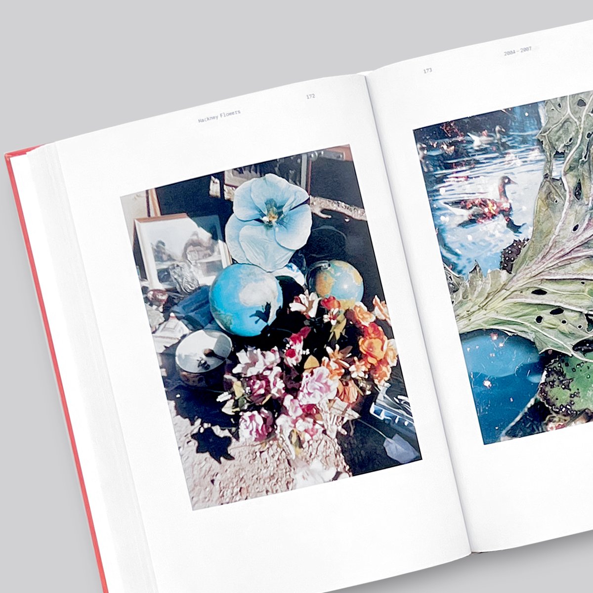 Stephen Gill / Coming up for Air: Stephen Gill