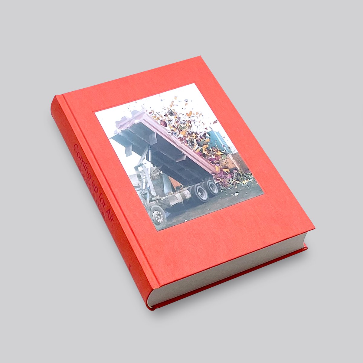 Stephen Gill / Coming up for Air: Stephen Gill