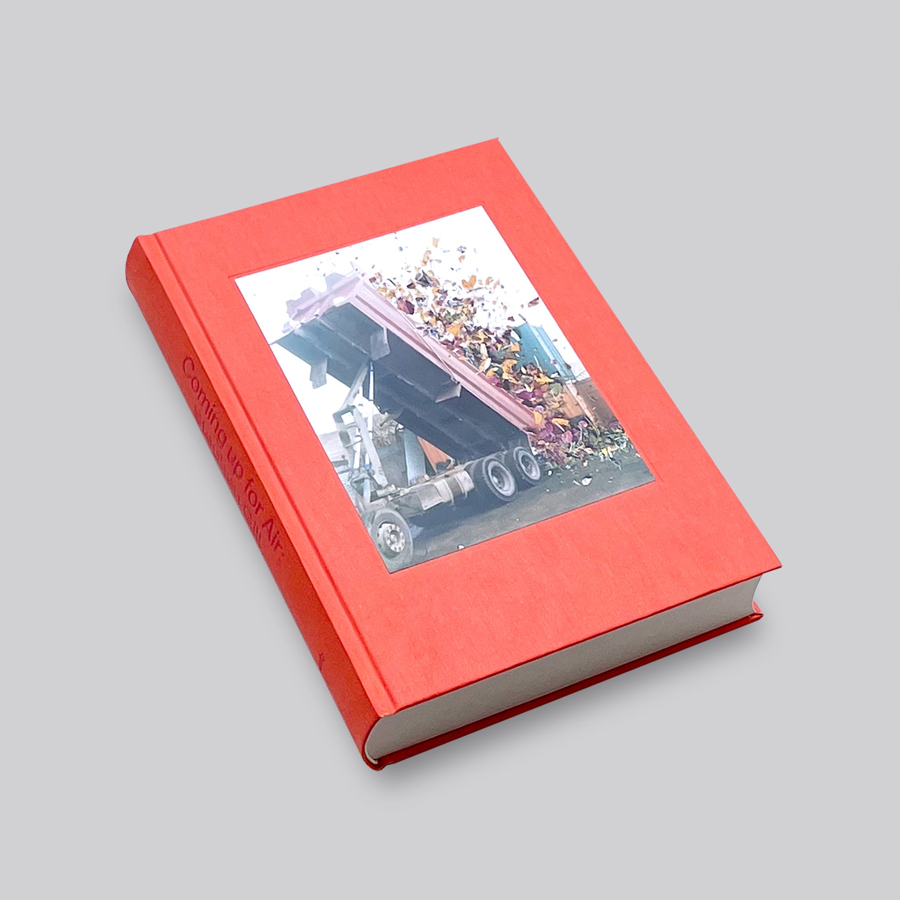 Stephen Gill / Coming up for Air: Stephen Gill