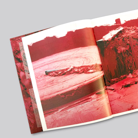 Anish Kapoor / My Red Homeland