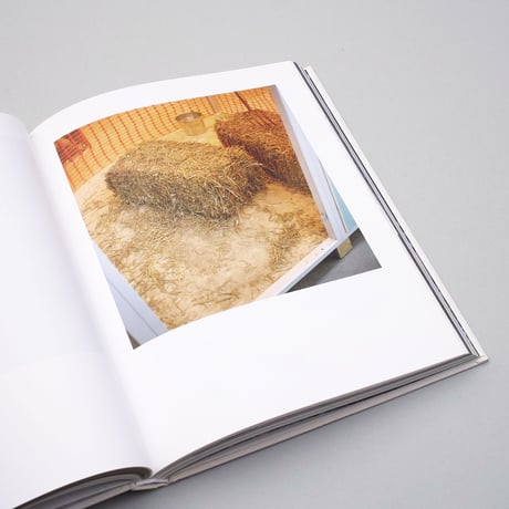 Mike Meiré / The Farm Project