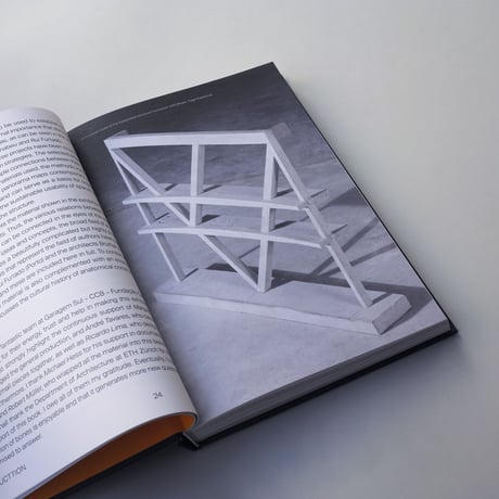 The Bones of Architecture