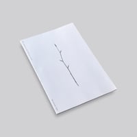 Christian+Jade / The beech at the end of a star