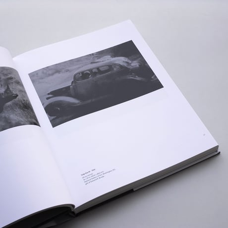 Vija Celmins / To Fix the Image in Memory
