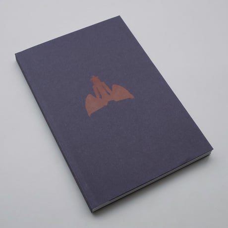 Anika Schwarzlose / Seeing Into Stone