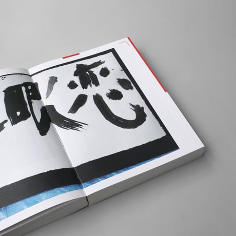 Nobuyoshi Araki: Hi-Nikki (Non-Diary Diary)