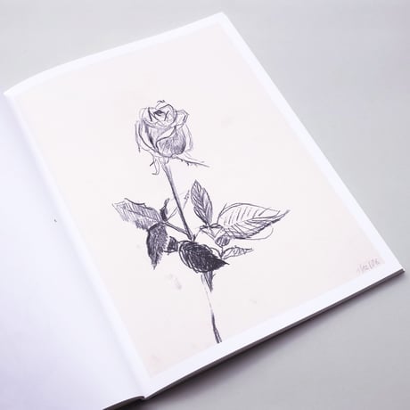Sabine Moritz / Roses