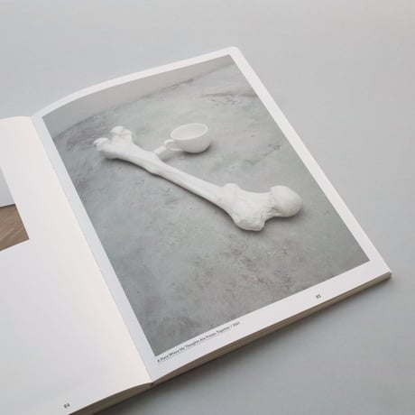 Mark Manders / The Absence Of Mark Manders, Bonnefanten