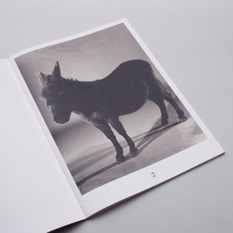 Paul Koolker/ The Rumour