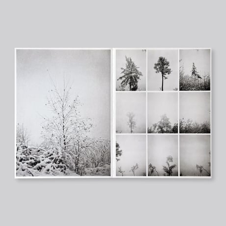 Bas Ketelaars / Edges of Landscape