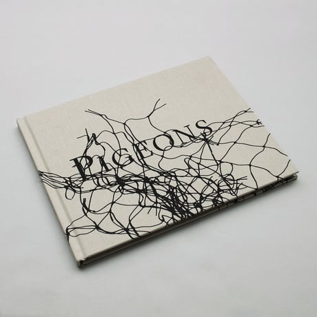 Stephen Gill / PIGEONS