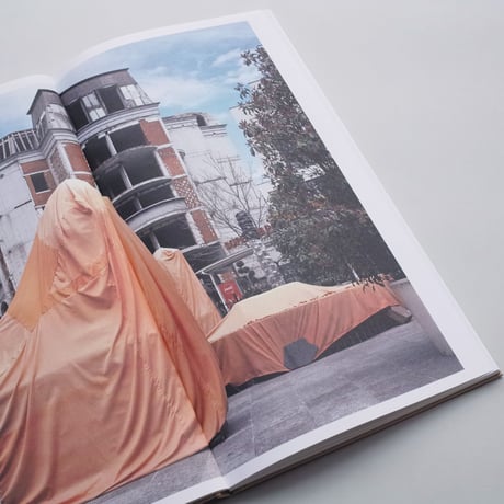 Sander van Wettum / Hibernation