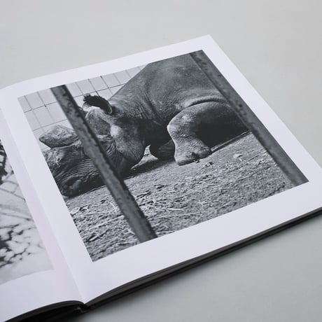 Diana Michener / A Song of Life