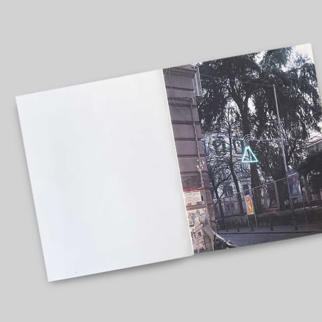 Arnout De Cleene / Michiel De Cleene: Amidst the fire, I am not burnt Surface Reading