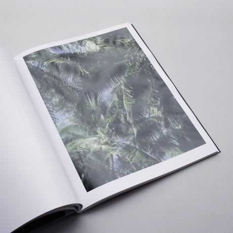 Thomas Ruff / Series