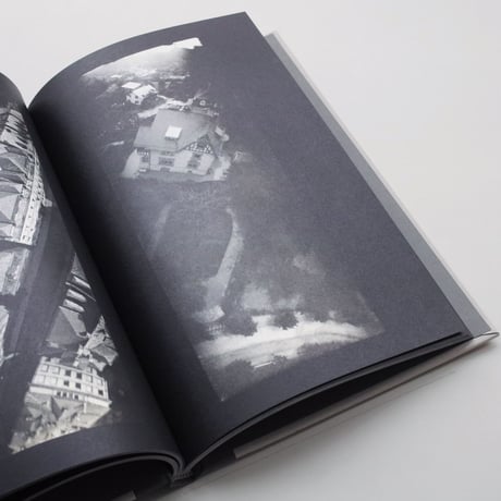 Nicolò Degiorgis & Audrey Salomon / The Pigeon Photographer