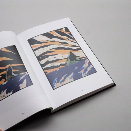 Harold Ancart / Soft Places (II)