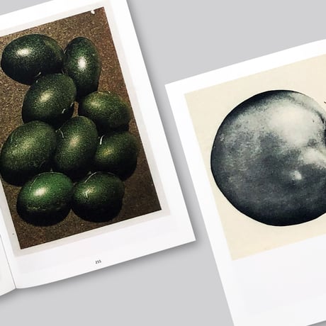 Ruth van Beek / The Oldest Thing