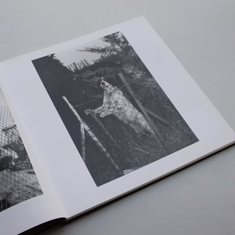 Lee Friedlander / Chain Link