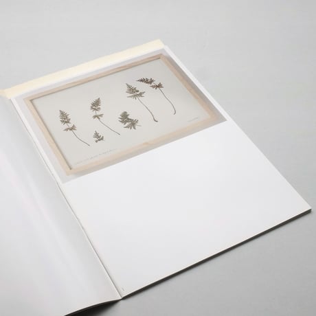 herman de vries (blind gallery)