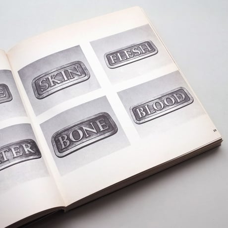 Arte Povera Gabriele Mazzotta Editore