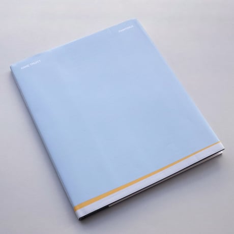 Anne Truitt / Paintings