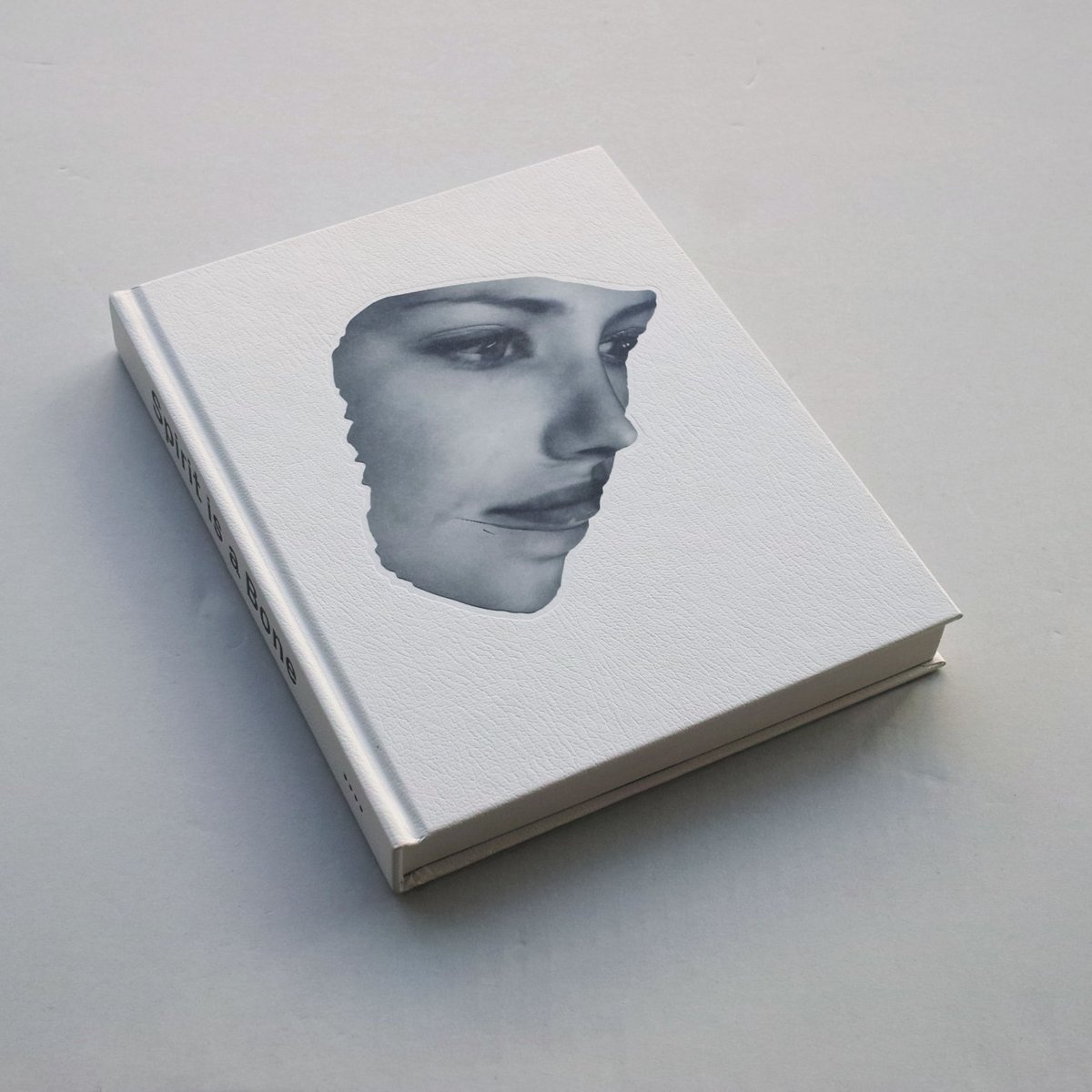 Adam Broomberg & Oliver Chanarin / SPIRIT IS A