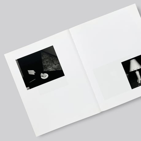 Fumi Ishino / Rowing a Tetrapod