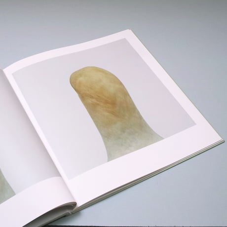 Roni Horn / bird