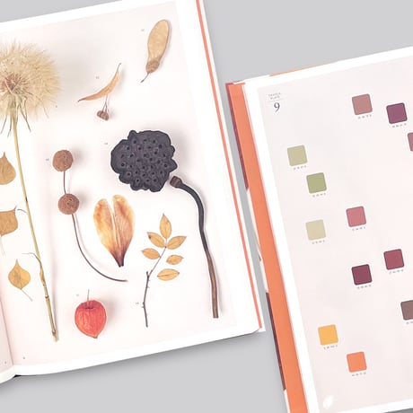 Chromatic Herbarium / Massimo Gardone, Alessandra Muran