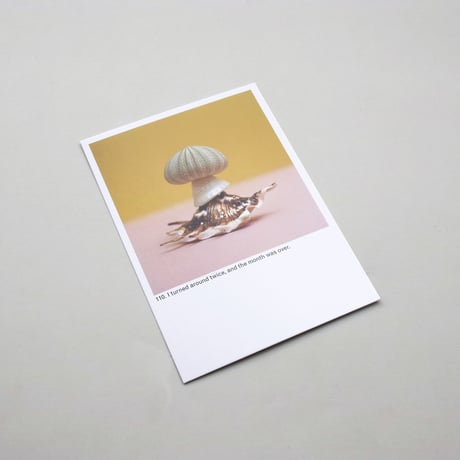 Every Mushroom is a Good Mushroom
