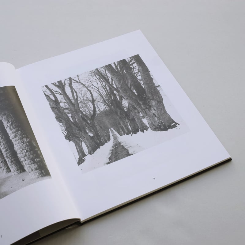 Klaus Merkel / Trees like Stones | POST