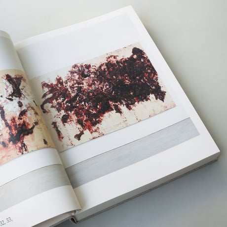 Anish Kapoor / Painting