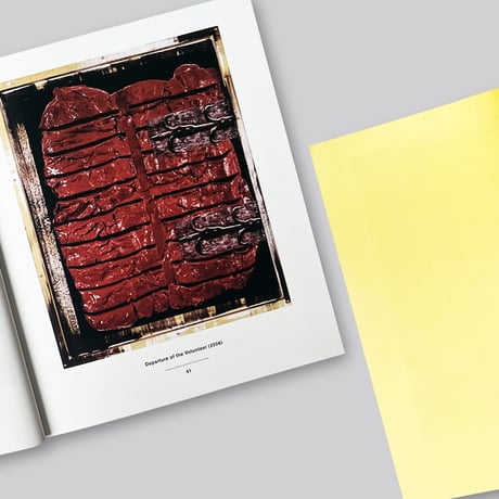 Rosemarie Trockel / Flagrant Delight