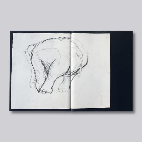 Charlotte Dumas / Entendue