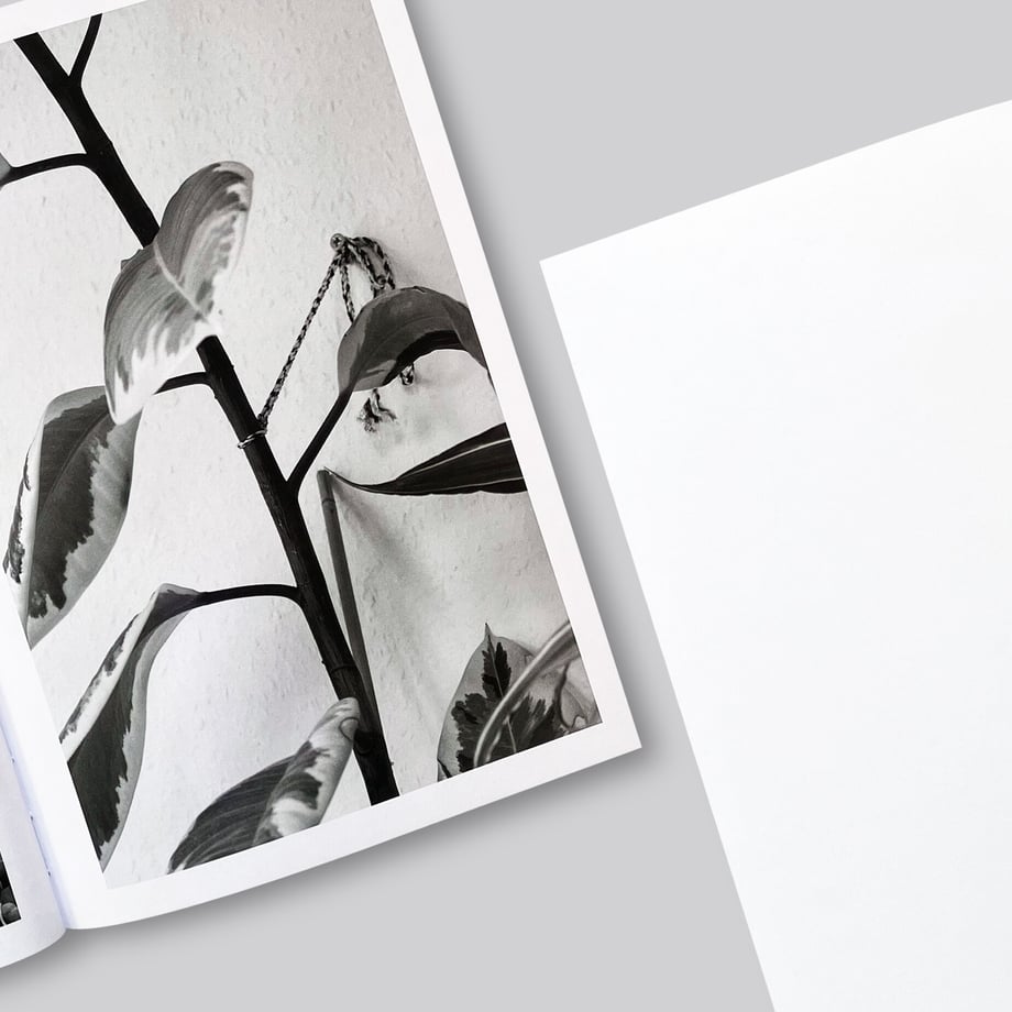 6530f25fc60d69002de97f43