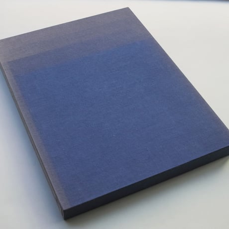 Robert Mangold / Beyond the Line: Paintings and Project 2000 - 2008