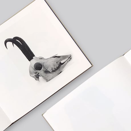 Irving Penn / Cranium Architecture