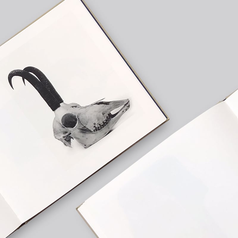 Irving Penn / Cranium Architecture | POST