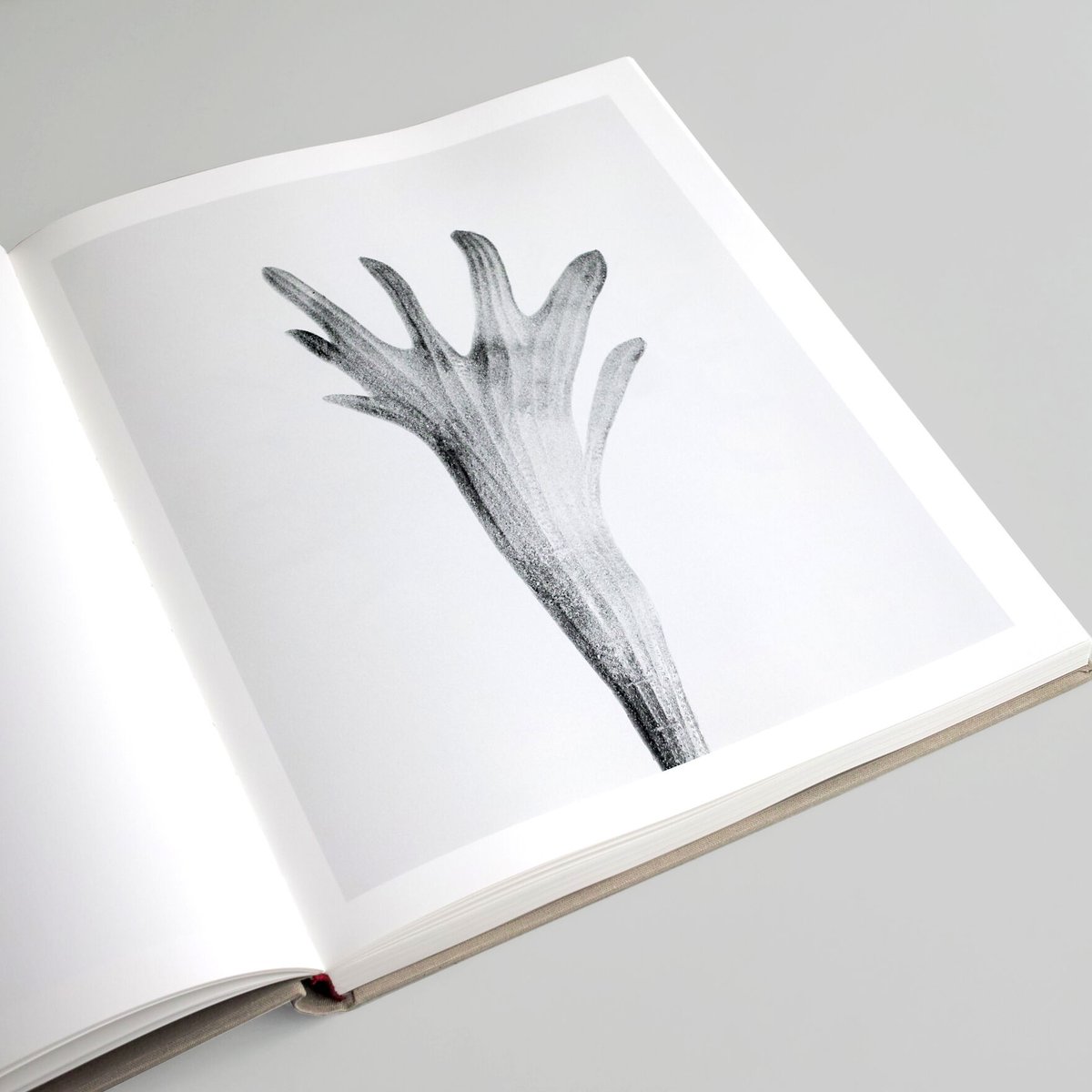 The Alphabet of New Plants　Robert Voit Robert Voit / The Alphabet of New Plants | POST